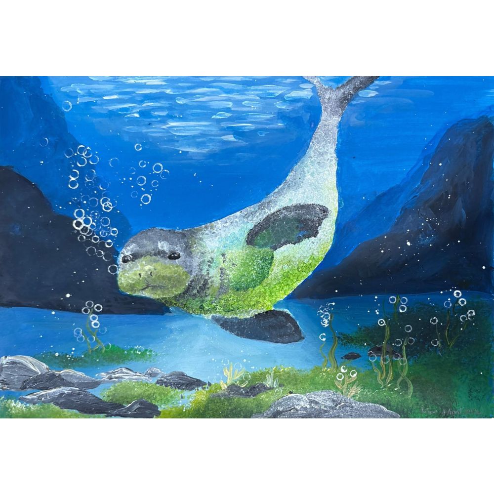 Sketch for Survival Junior Highly Commended Artworks