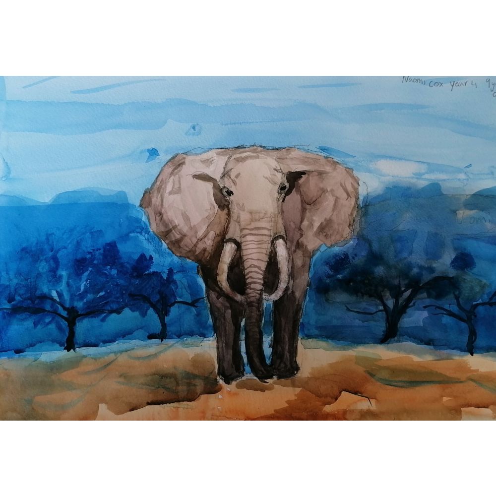 Sketch for Survival Junior Highly Commended Artworks