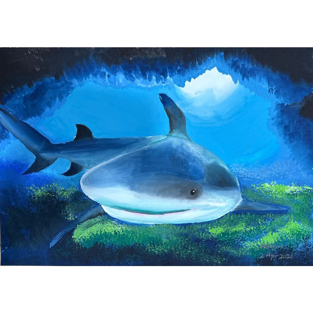 Sketch for Survival Junior Highly Commended Artworks