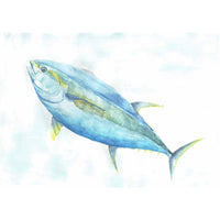 Yellowfin tuna in the blue
