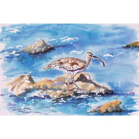 Cry of the Curlew