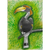Brave and Strong Hornbill