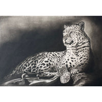 Leopard Laze