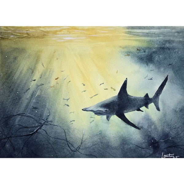 The Last Hammerhead