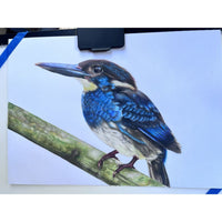Blue Java