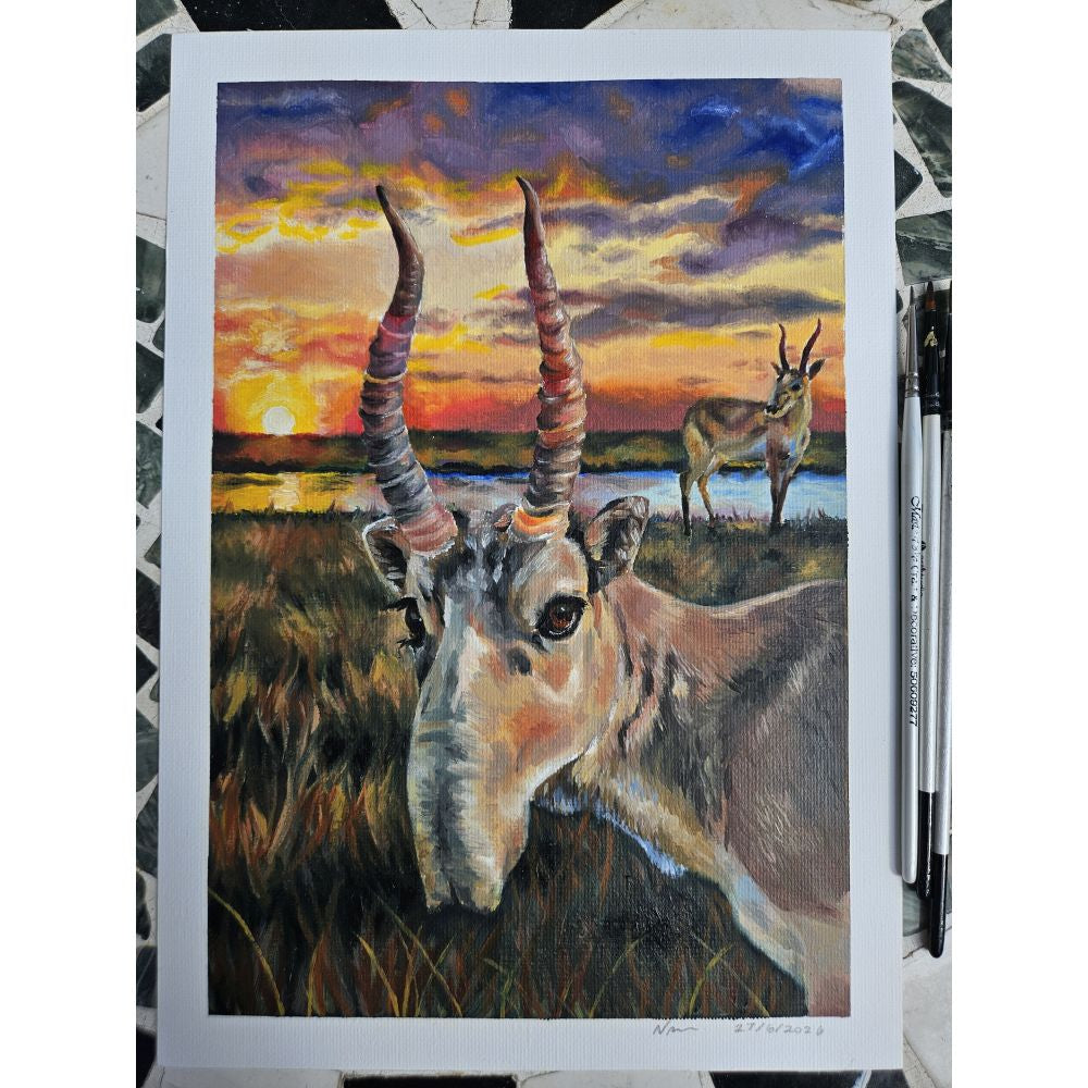 Sketch for Survival Highly Commended Artwork