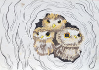 Brother and Sister Owlets