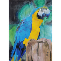 Let's Save & Cherish the Macaws