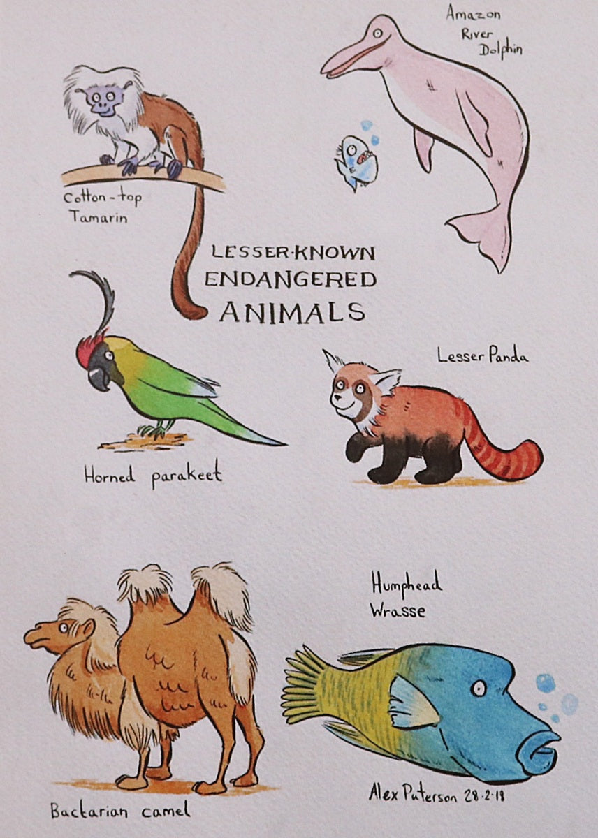 Postcards - set of 10