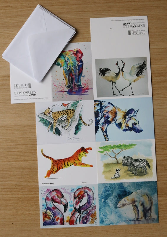 Mini Cards  - Set of 8