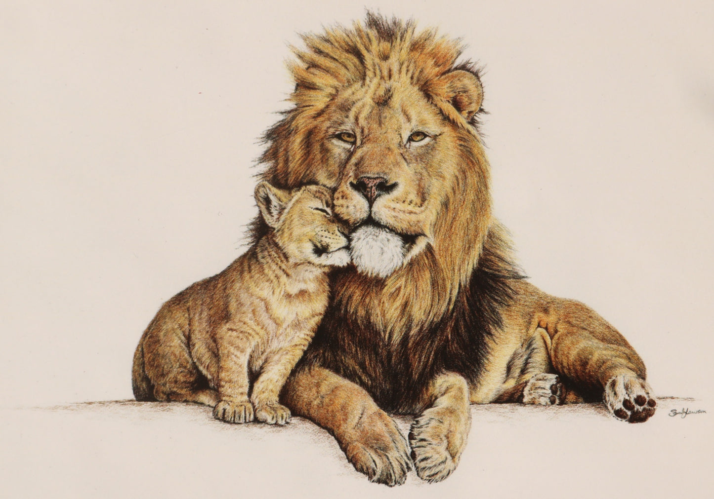 Postcards - set of 10