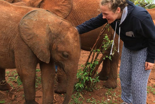 Titchy Tembo hoody